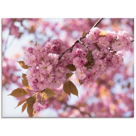 Artland Glasbild »Japanische Kirschblüte in Love I«, Blumen, (1 St.), pink