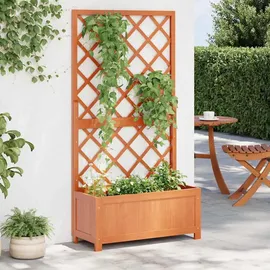vidaXL Garten-Spalier mit Blumenkasten 70 x 30 x 135 cm Braun