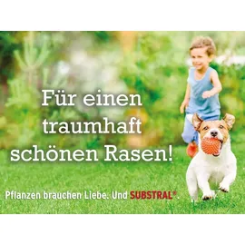 Substral Rasensamen Die Nachsaat 2 kg, für 100 m2