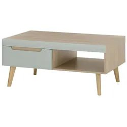 Couchtisch Svante - Scandi Oak / Pistaccio Matt