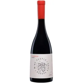 wine people Red Blend, aus Tavkveri und Muscat Hamburg, Tavkveri, von Dachi Tavadze Wine people