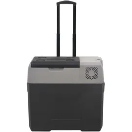 vidaXL Kompressor Kühlbox 50 l