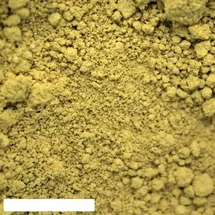 Kreidezeit Pigment Sonnengelb 0,025 l
