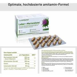 Active Bio Life Science Gmbh Amitamin Mariendistel+Leber Kapseln