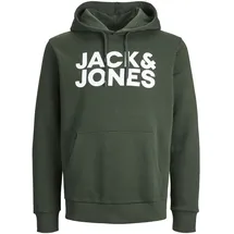 JACK & JONES Corp Logo Kapuzenpullover Mountain View / Fit Reg / Large Print 2XL