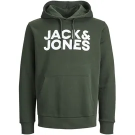 JACK & JONES Corp Logo Kapuzenpullover Mountain View / Fit Reg / Large Print 2XL