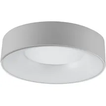 EVN R30181425 1-flg. silber