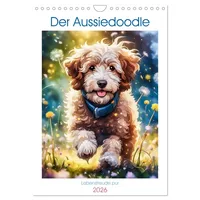 Calvendo Der Aussiedoodle - Lebensfreude pur (Wandkalender 2026 DIN