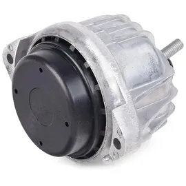 CORTECO Lagerung, Motor