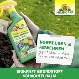 NEUDORFF BioKraft Grundstoff Schachtelhalm AF Spray 500 ml