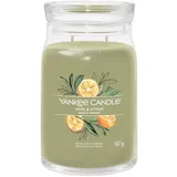 Yankee Candle Sage & Citrus 567 g