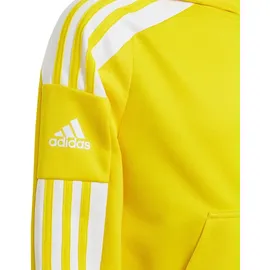 adidas Squadra 21 Yellow/White 116