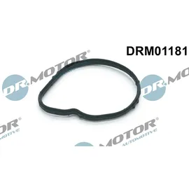 DR.MOTOR AUTOMOTIVE Dichtung, Thermostat