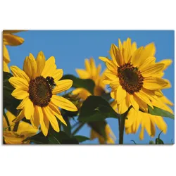 Leinwandbild ARTLAND "Sonnenblumen", gelb (farbe bild(er): gelb), B:30cm H:20cm, Canvas, Leinwand, Bilder, auf Keilrahmen gespannt
