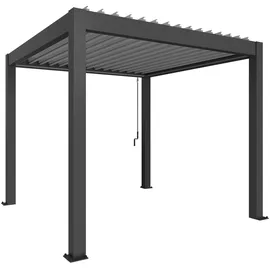 Biohort Pergola 3 x 3 m Dunkelgrau/Silber-metallic