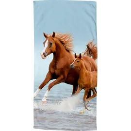 Good Morning Strandtuch 75 x 150 cm blau/braun