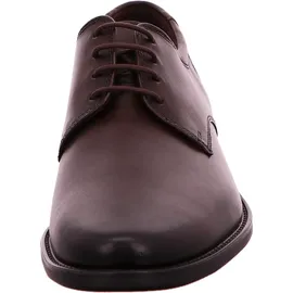 LLOYD Core 110 Schuhe braun moro Business 25-504-07 für Herren, Schnürschuhe Männer Businessschuhe,Freizeit,Schnuerschuhe,Schnuerer,straßenschuhe,Strassenschuhe,Shoes, T.D.Moro, 48 EU / 12.5 UK