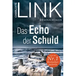 Das Echo der Schuld