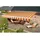 Spettmann Gelenkarmmarkise BASIS 300 x 200 cm orange
