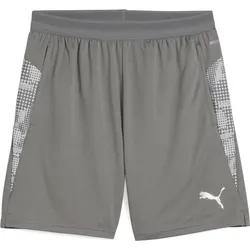 Puma Teamcup Training Shorts flat medium gray-puma silver-flat light gray (13) L