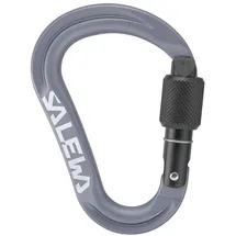 Salewa Ortles HMS S Karabiner Grau