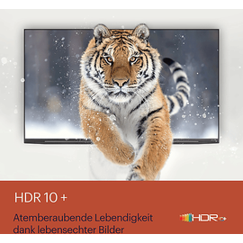 Grundig 50 GUB 7340 LED TV (Flat, Zoll / 126 cm, HDR 4K, SMART TV, Google TV)