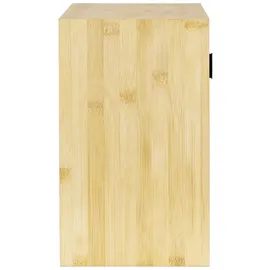 Wenko Medikamentenschrank Allegre