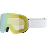 Alpina Penken Skibrille 811 white matt,