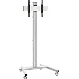 Vogel's Vogels Displaywagen-Set T2044 si-sw