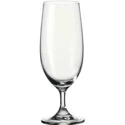 Leonardo Bierglas Daily