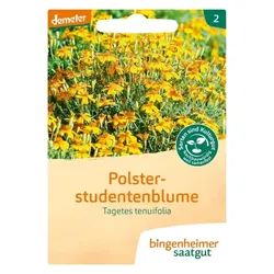 Bingenheimer Saatgut Polsterstudentenblume