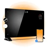 Johannson Aurora 2000 W Schwarz