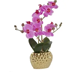 Leonique Kunstpflanze »Orchidee«, Kunstorchidee, im Topf, Bestseller, über 2500 4,5-Sterne-Bewertungen Leonique lila/goldfarben