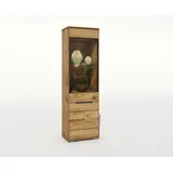 Möbel Boss Vitrine Lola 63 x 0 x 0 cm Braun