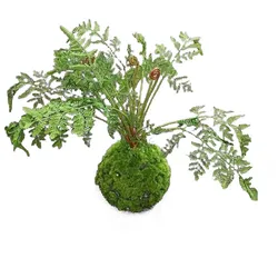 HTI-Living Kunstpflanze Farn-Busch Flora