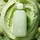 Fragrance World Elysia Pista Sundae Eau de Parfum 100 ml