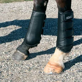 Catago Dressurgamaschen 1 St Set Warmblut schwarz