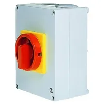 Elektra Tailfingen Haupt-Not-Ausschalter V2N01/HS-T24/2-D-MRG