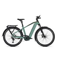 Kalkhoff Entice 5 Excite + ABS Grün Modell 2026
