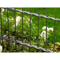 PEDDY SHIELD Doppelstabmattenzaun 10 Matten 1,03 x 20 m anthrazit