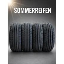MINERVA F209 165/70 R14 85T