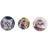 School-Mood 3er Patchy-Set Lina (Kätzchen)