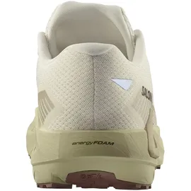 Salomon Drx Defy Grvl Herren Vanilla Ice/Green Haze/White Pepper 46 2/3