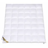 Betten Hofmann Kuscheliges Daunenbett Daunendecke 6x7 240x220 cm warme Ganzjahresdecke
