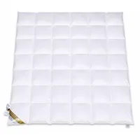 Betten Hofmann Kuscheliges Daunenbett Daunendecke 6x7 240x220 cm warme Ganzjahresdecke