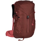 Deuter Climber 22 Rucksack (Größe 22L, rot)