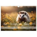 Calvendo Igel - Wildtier des Jahres 2024 (Wandkalender 2026 DIN A4 quer), CALVENDO Monatskalender: