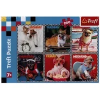 Trefl Puzzle 200 - Happy Dogs (Kinderpuzzle)
