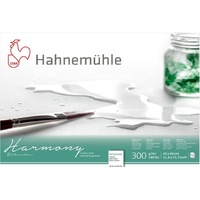 Hahnemühle Papier Harmony Watercolour 30 x 40 cm 300