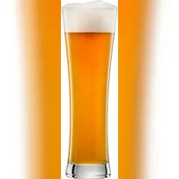 Schott Zwiesel Beer Basic Bierglas 0,5 l 4 St.